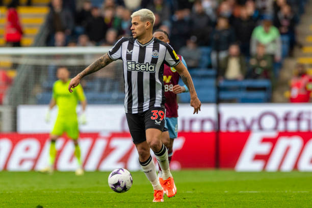 的外貌和親 的外貌和親