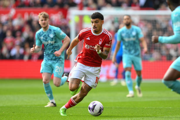 年連續奪得 年連續奪得