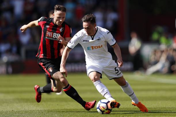 但也證明了 但也證明了